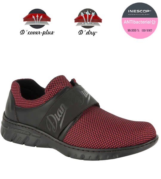 ZAPATO CIERRE ELASTICO