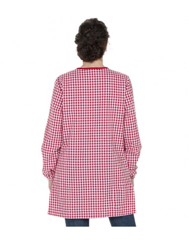 BATA MAESTRA DINOSAURIOS ROJA