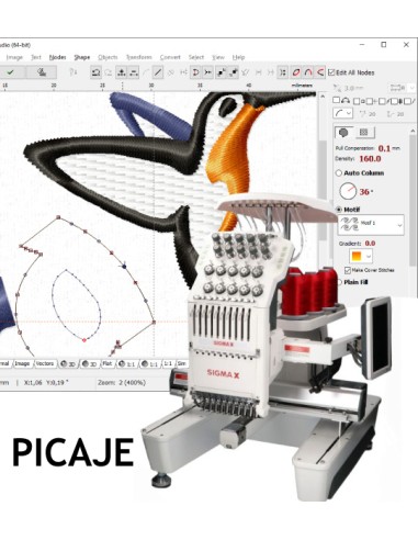 LOGO DELLA SCUOLA PICAJE